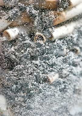 Smoke weed every day joint