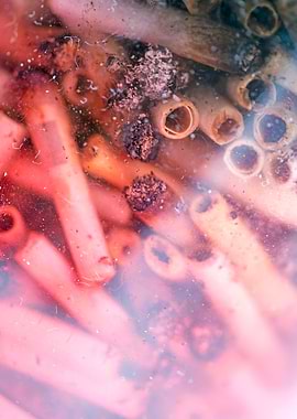 Smoke weed every day joint