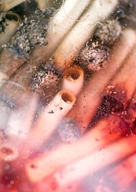 Smoke weed every day joint