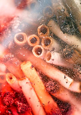 Smoke weed every day joint