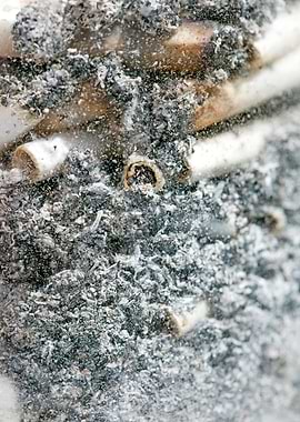 Smoke weed every day joint