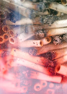 Smoke weed every day joint