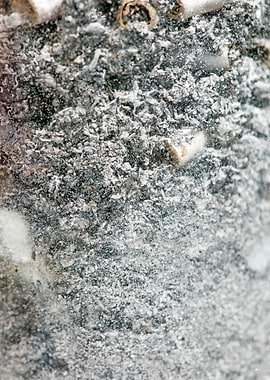 Smoke weed every day joint