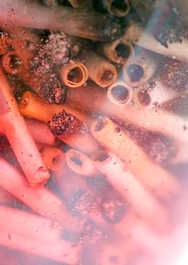 Smoke weed every day joint