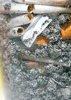 Smoke weed every day joint