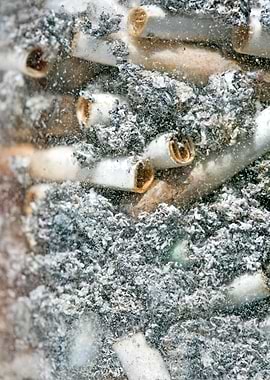 Smoke weed every day joint