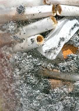 Smoke weed every day joint