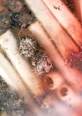 Smoke weed every day joint