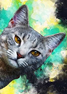 Cat animal art