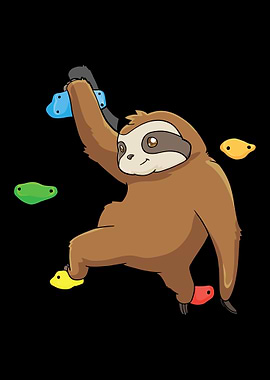 Sloth Wall Climbing Wall C