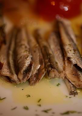 Sardines fish plate macro