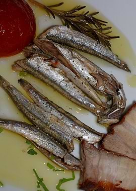 Sardines fish plate macro