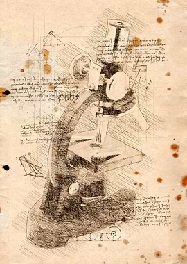Microscope Sketch