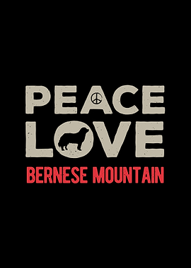 Bernese Mountain Dog