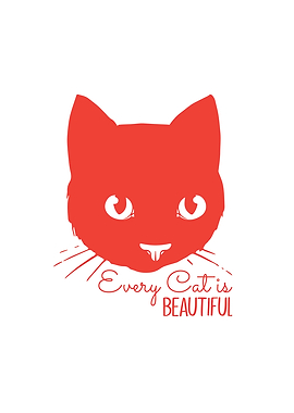 Every Cat is Beautiful