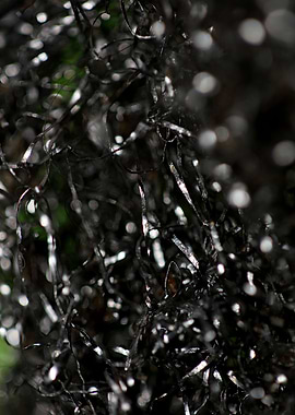 Metal wire abstract macro