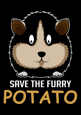 Furry Potato Guinea Pig Ow
