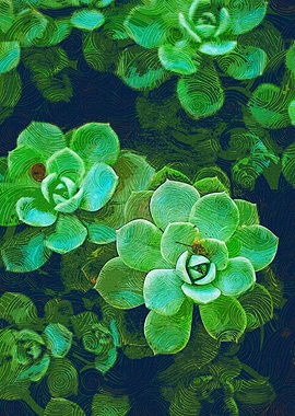 Fresh Green Succulents