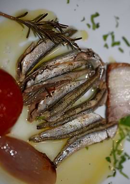 Greek sardines raw cuisine