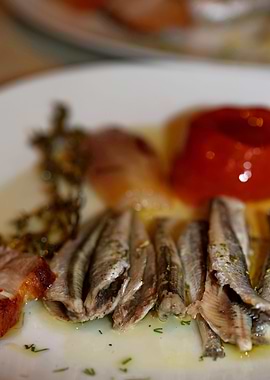 Sardines Greek cuisine raw