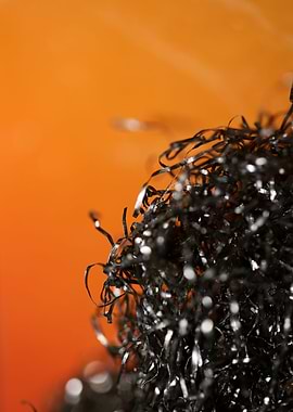 Metal wire abstract macro