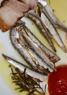 Sardines Greek cuisine raw