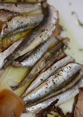 Greek sardines raw cuisine