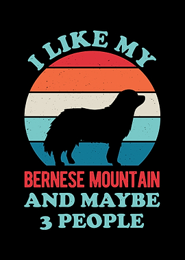 Bernese Mountain Dog