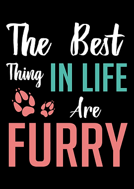 Best Things Furry Animal R