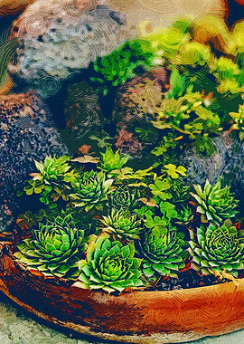 Tiny Little Succulents