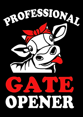 Professional Gate Opener