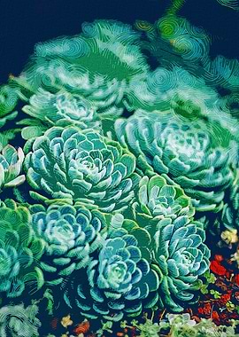 Small Succulent Vegetation