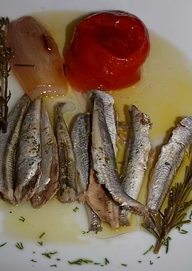 Sardines fish plate macro