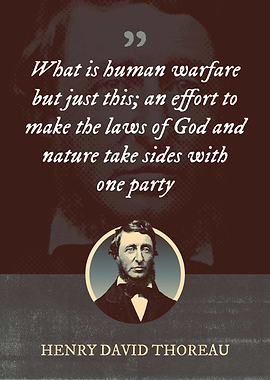 What is human warfare but