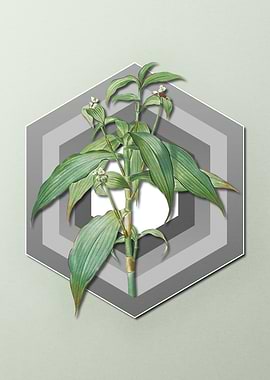 Geometric Floral on Pastel