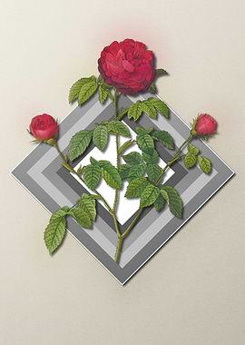 Geometric Agatha Rose Gray