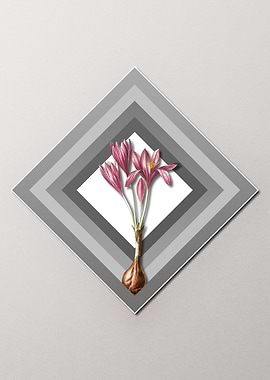 Geometric Pastel Crocus