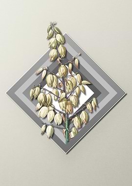 Geometric Adams Needle