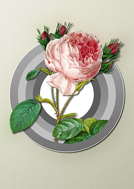 Pastel Floral Rose Flowers