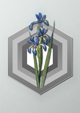 Geometric Blue Iris Pastel
