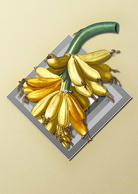 Bananas on Paper Diamonds