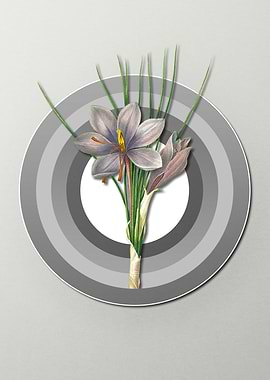 Geometric Autumn Crocus