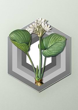 Geometric Floral Lily Art