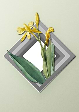 Florals on Paper Diamonds