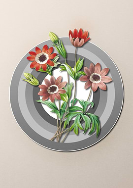 Pastel Floral Anemone Buds