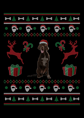 German Shorthaired Pointer