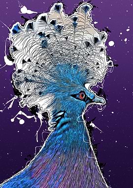Victoria crowned pigeon