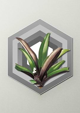 Geometric Boat Lily Pastel