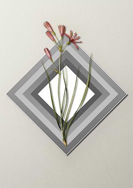Geometric Pastel Amaryllis