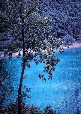 landscape of blue lake